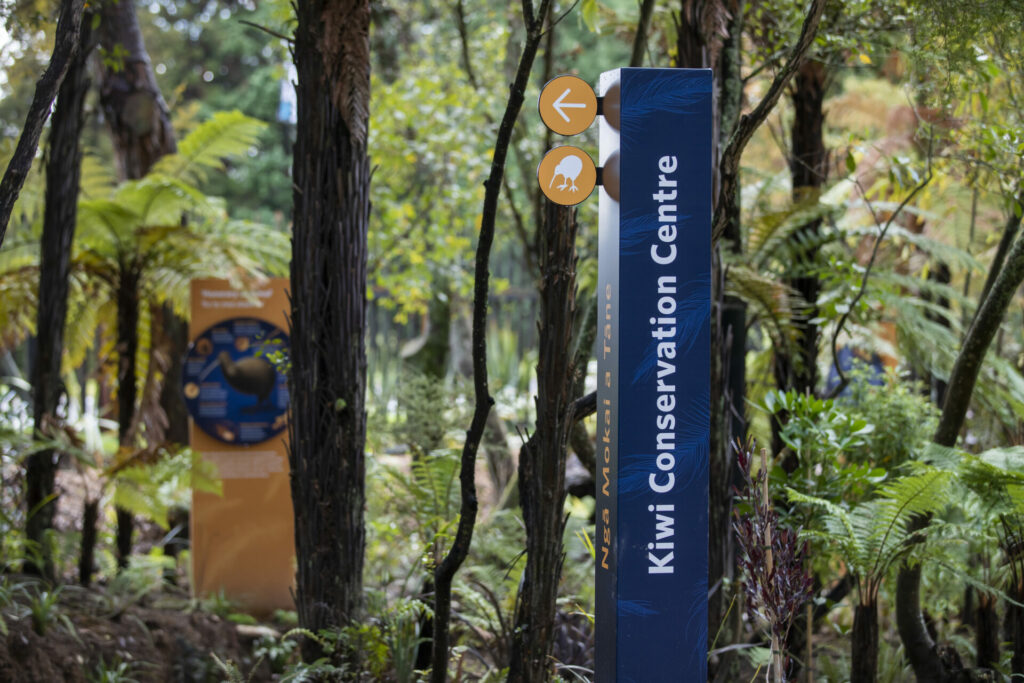 Te Puia Kiwi Conservation Centre